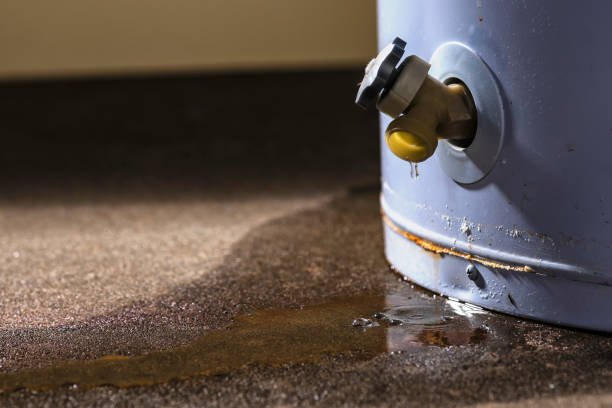 Best Ceiling water damage repair  in Quantico Base, VA