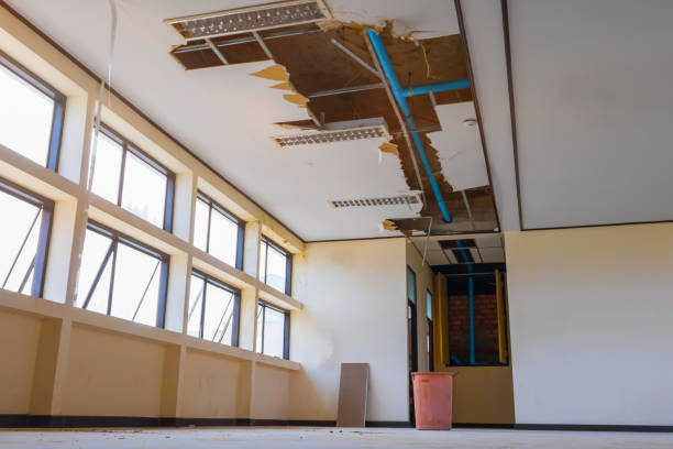 Best Sewage cleanup and water damage restoration  in Quantico Base, VA