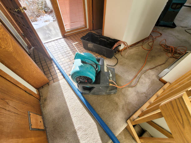 Best Water damage cleanup near me  in Quantico Base, VA