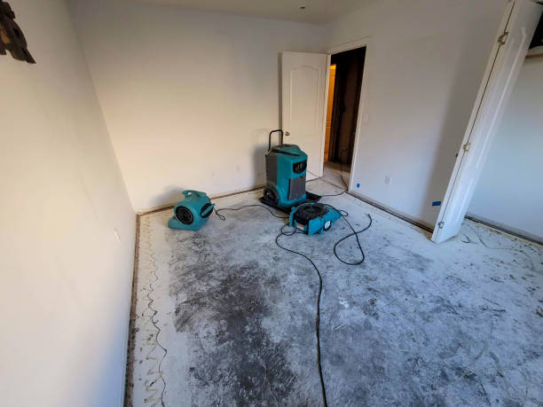 Best Water damage restoration near me  in Quantico Base, VA