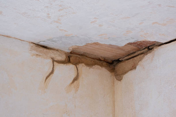 Best 24/7 water damage repair  in Quantico Base, VA