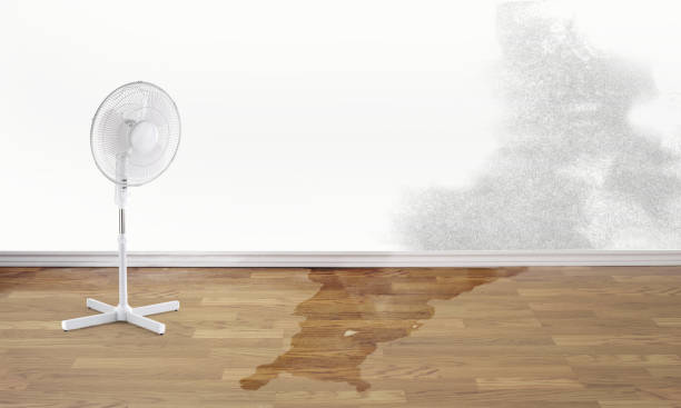 , VA Water damage restoration Company