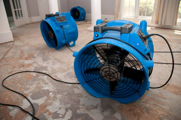 Best Local water damage restoration  in Quantico Base, VA