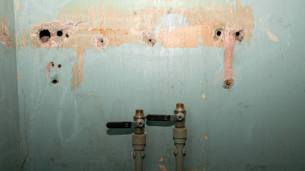 Best Commercial water damage restoration  in Quantico Base, VA