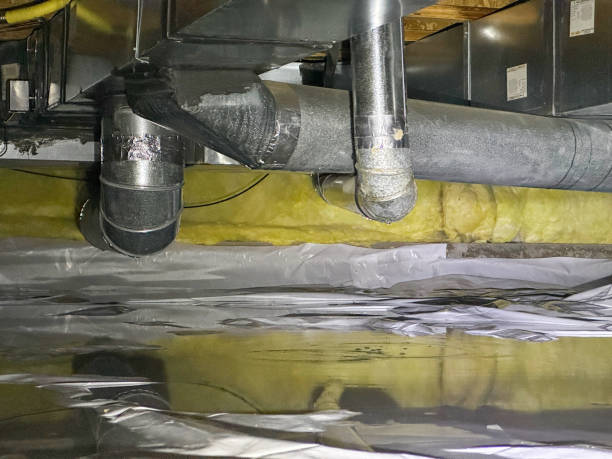 Best Water damage contractors near me  in Quantico Base, VA