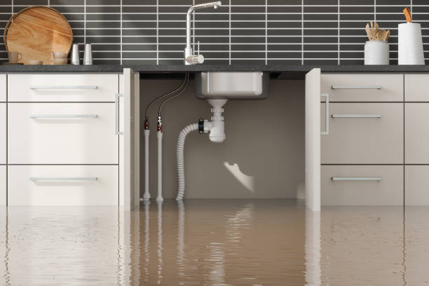  Quantico Base, VA Water damage restoration Pros